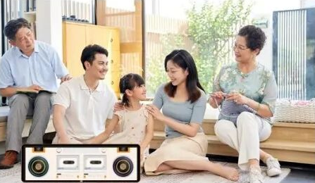 WEWON Speaker for Home Entertainment