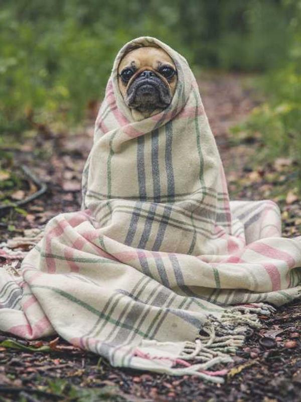 WEWON Company History & Factory